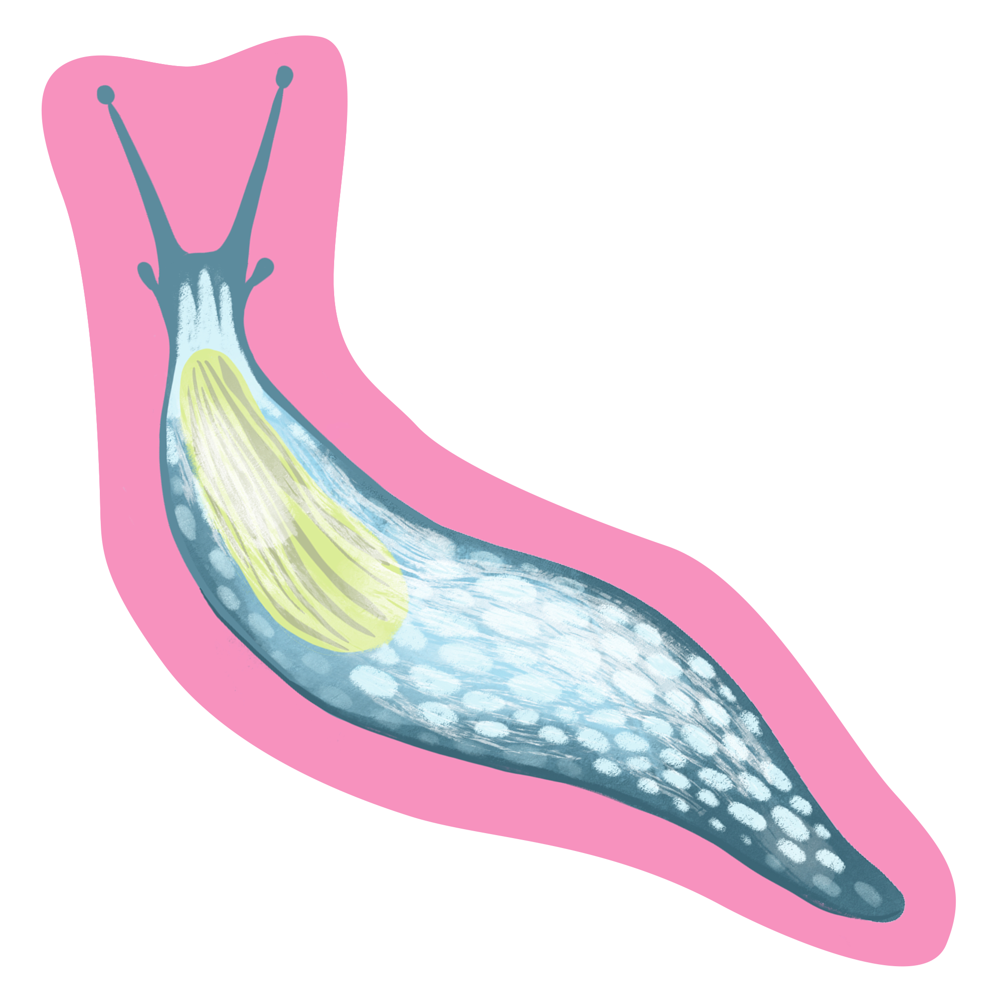 Slug Cushion!