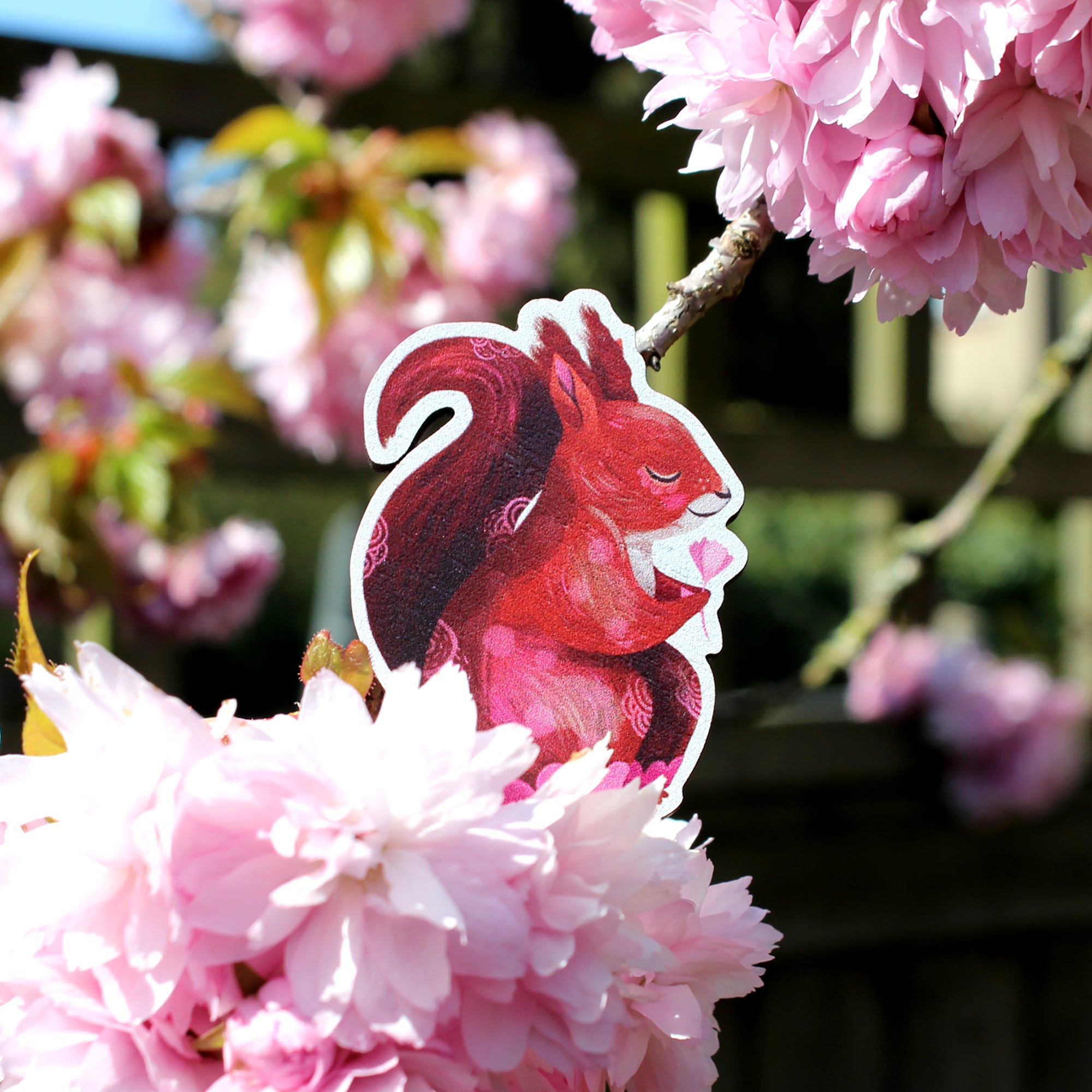 Red Squirrel Brooch - wooden pin